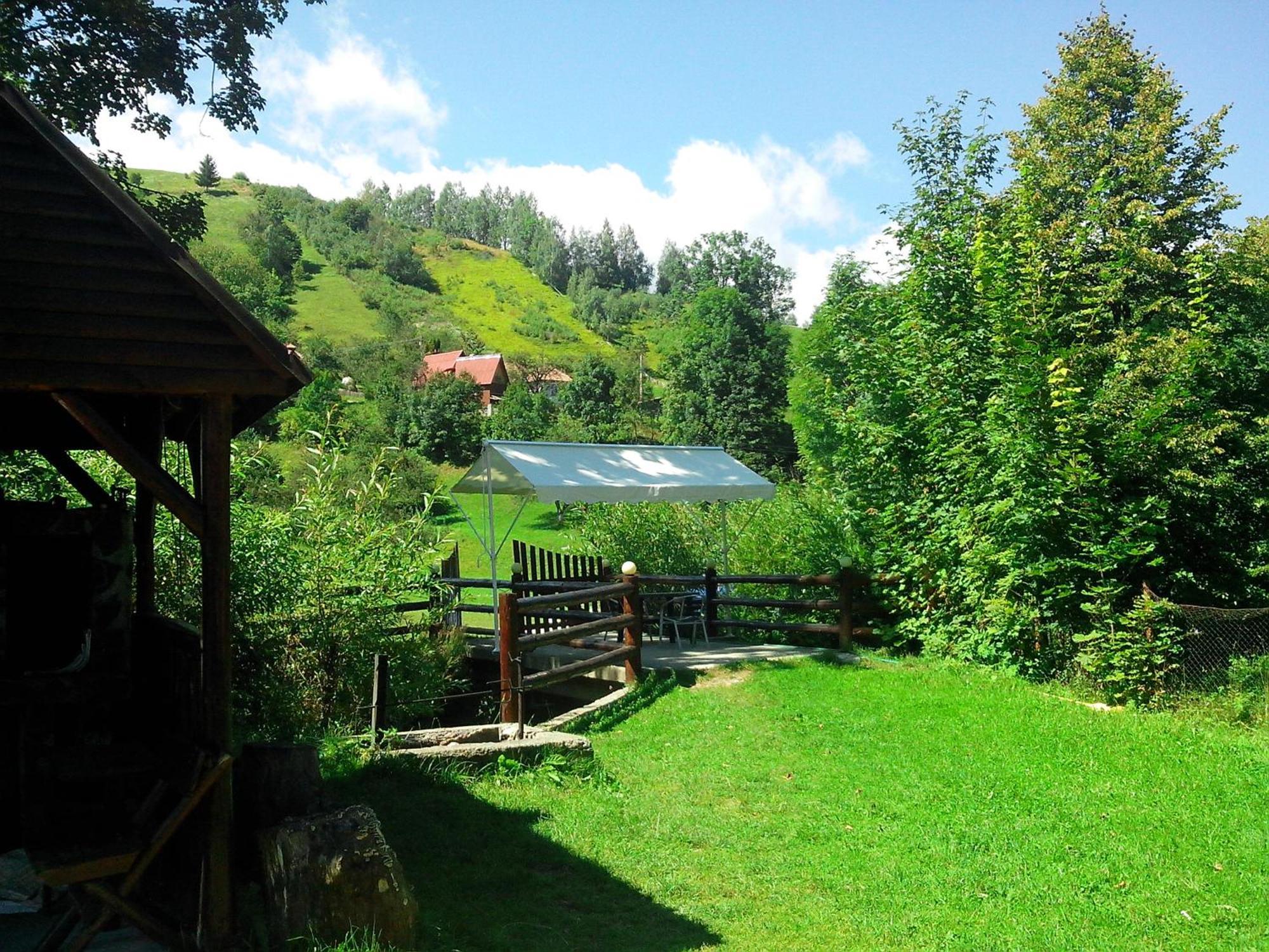 Vila Doina Branului Бран Экстерьер фото